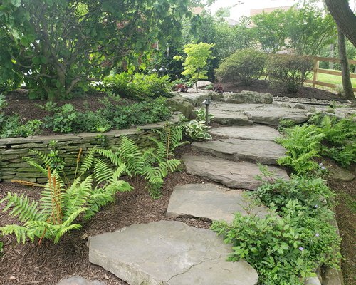 Stone Steppers with Ferns