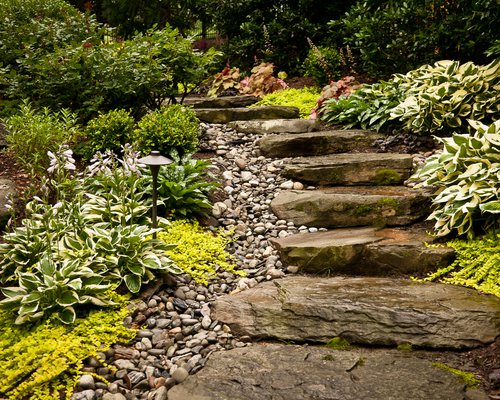 Stone Steppers with Planting