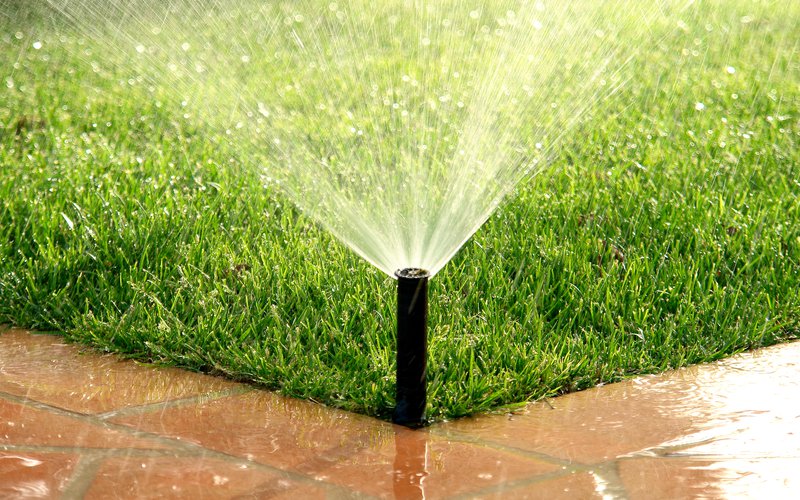 Irrigation spray.jpg