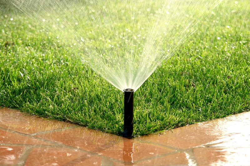 Irrigation spray.jpg