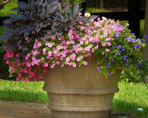 Planter with Annuals